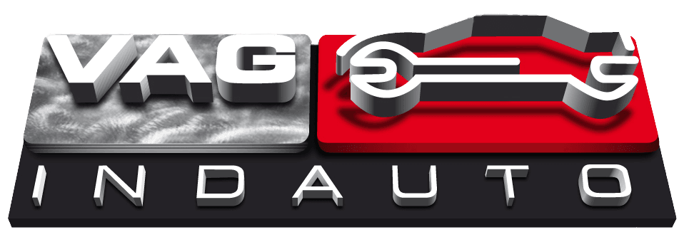 VAGINDAUTO